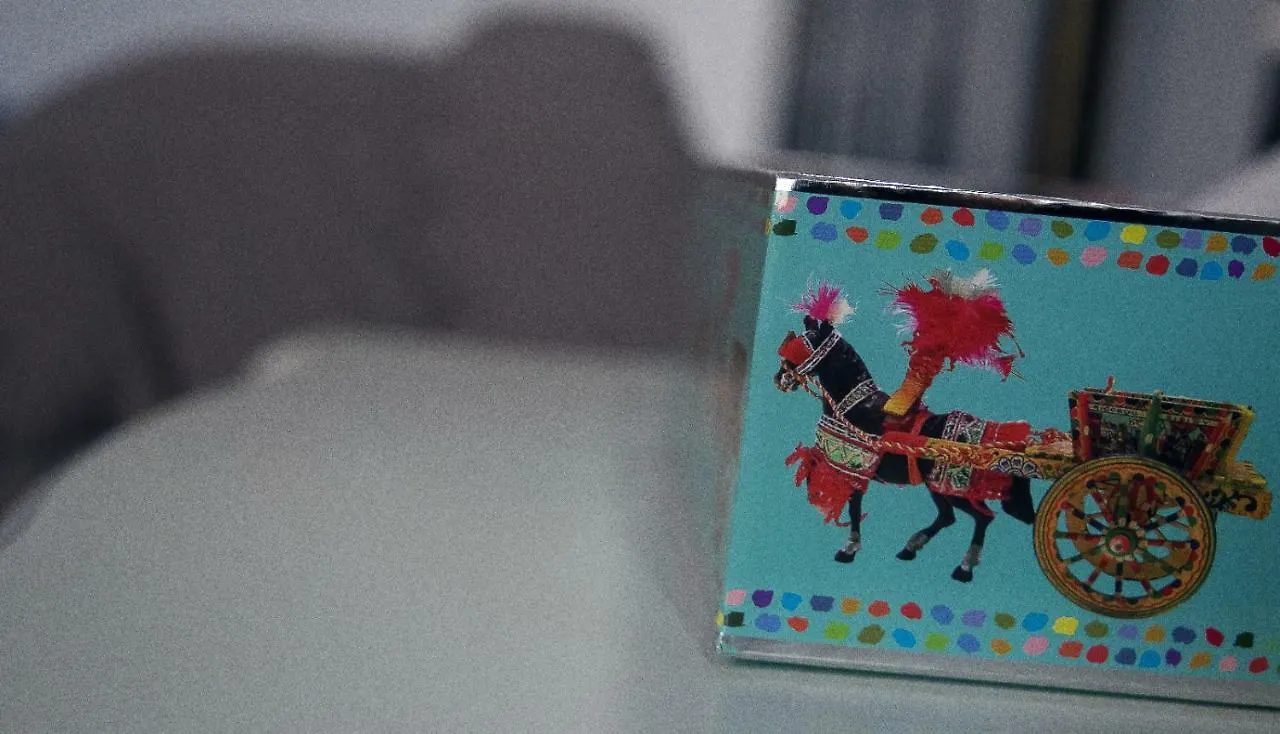 公寓 Ulisse Maison De Charme 夏卡